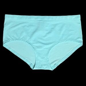 Victorias Secret Seamless Supersoft Smooth Hiphugger Hipster Panty Blue Large
